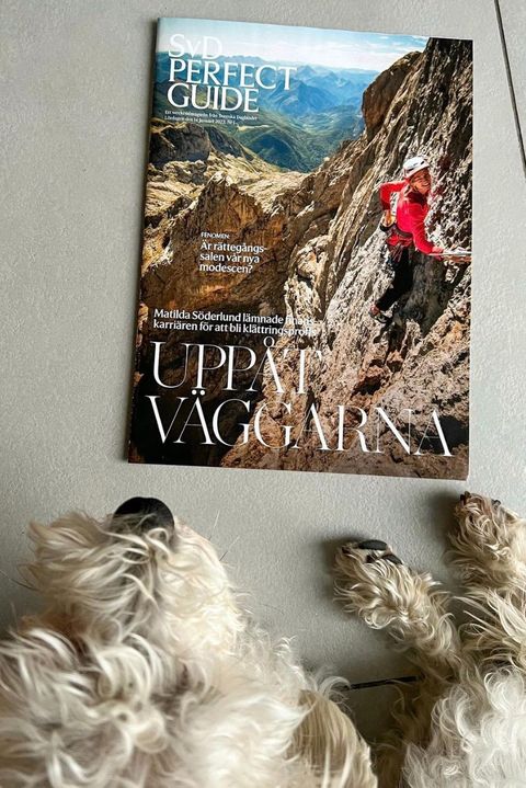 Tidningsreportaget ”Uppåt väggarna” om Matilda Söderlund, med två hundar